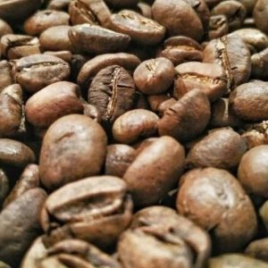 Luwak Coffee Arabica / Wild