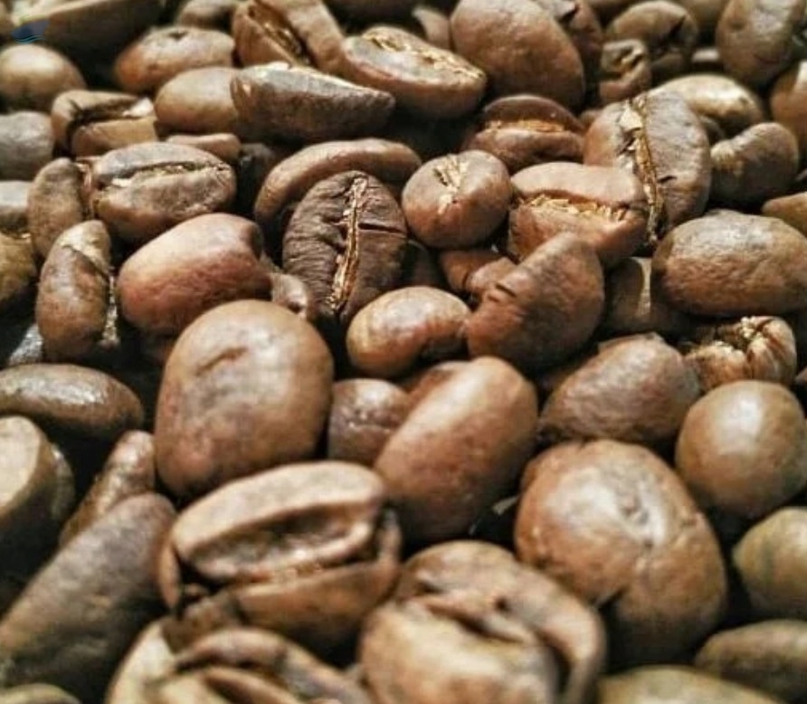 Luwak Coffee Arabica / Wild