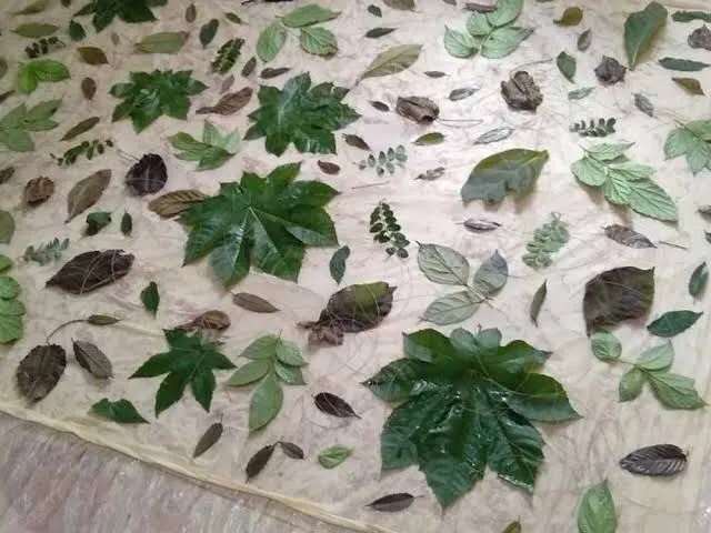 Eco Print